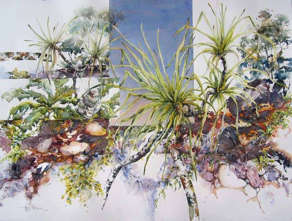 Top End Natives SOLD