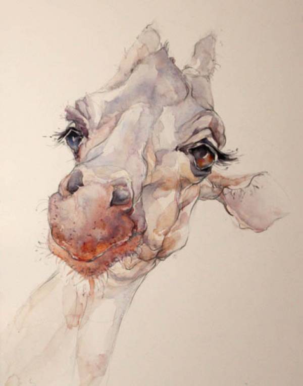 Pucker SOLD