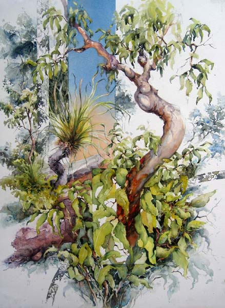 Janet Hoyer Cobb - Landscape